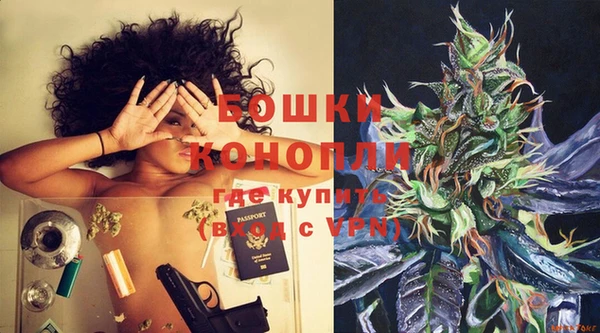 гидра Слюдянка