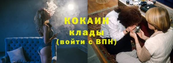 альфа пвп Снежногорск