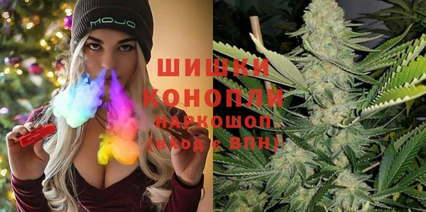 гидра Слюдянка