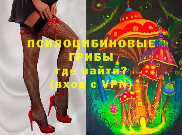 гидра Слюдянка