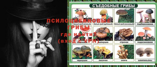 гидра Слюдянка