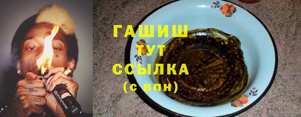 гидра Слюдянка