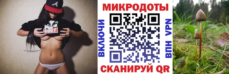 Купить  Тетюши  Галлюциногенные грибы ЛСД 